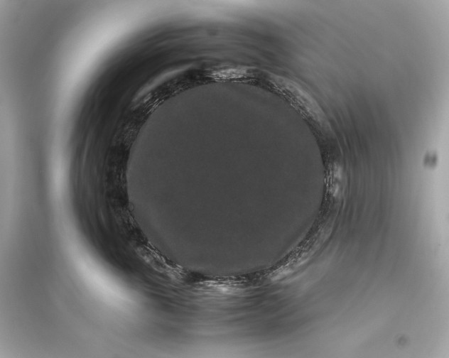 X0000094820763200711301629