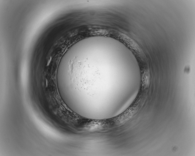 X0000094820764200711301629