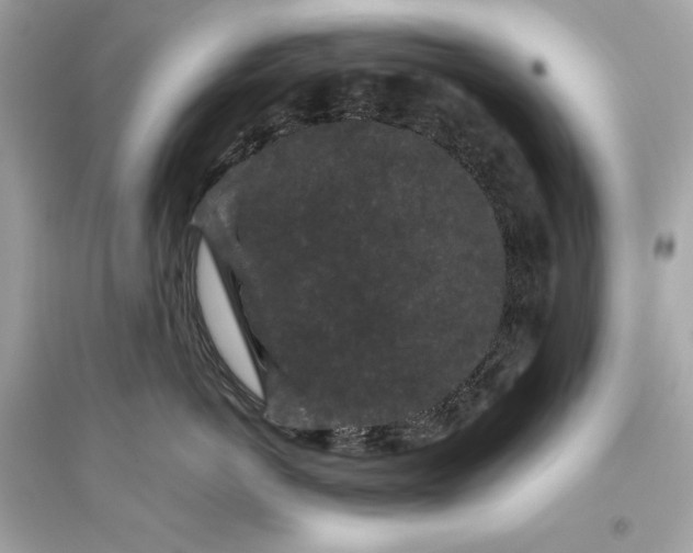 X0000094820766200711301629