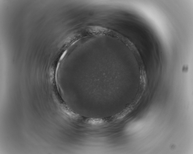 X0000094820767200711301629