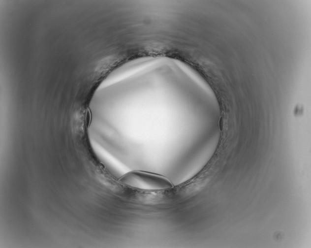 X0000094820768200711301629