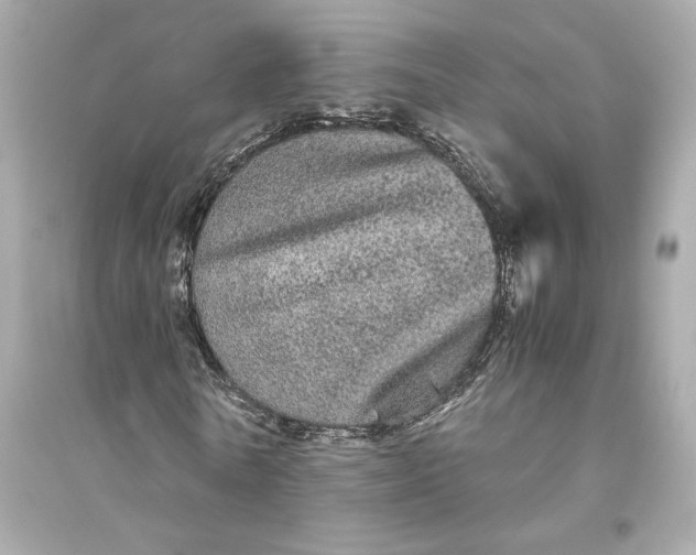 X0000094820770200711301629