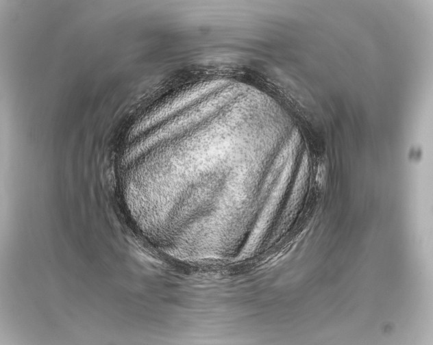 X0000094820771200711301629