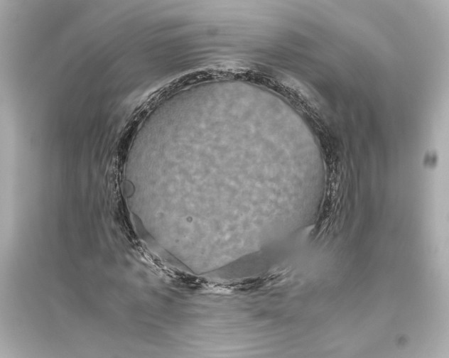 X0000094820773200711301629