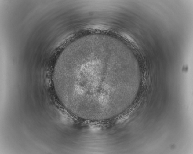 X0000094820774200711301629