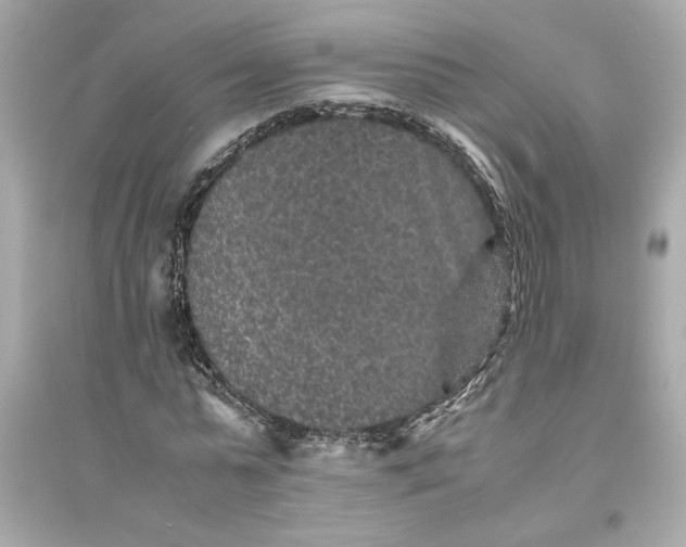 X0000094820775200711301629