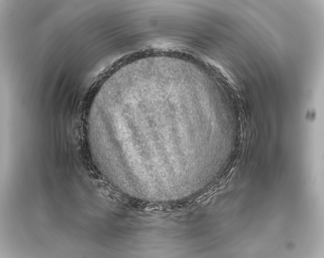 X0000094820776200711301629