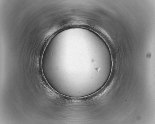 X0000094820777200711301629