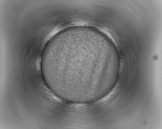 X0000094820778200711301629