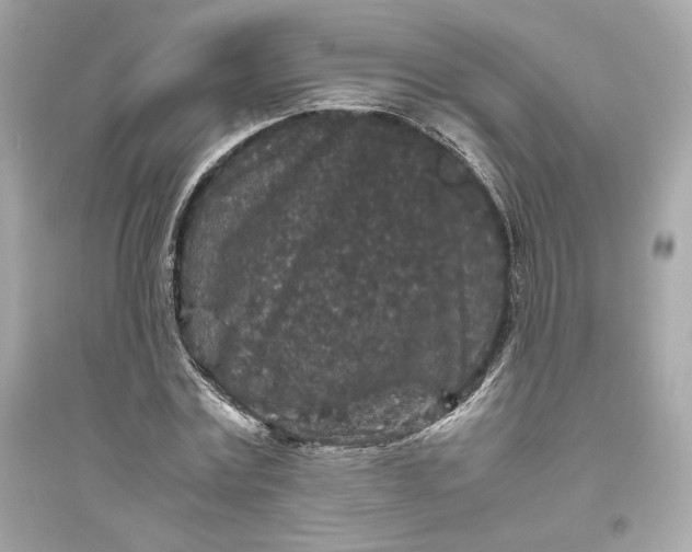 X0000094820779200711301629