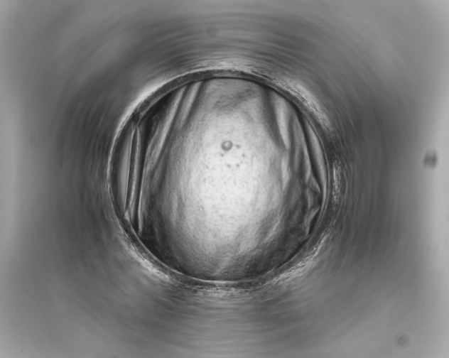 X0000094820780200711301629