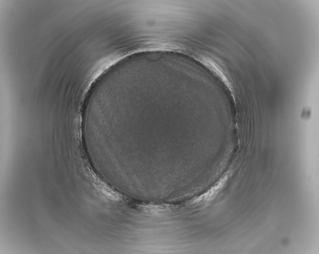 X0000094820781200711301629