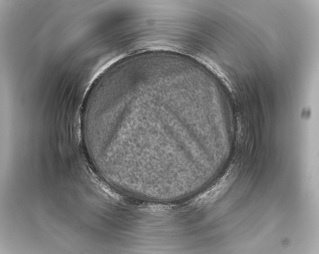 X0000094820782200711301629