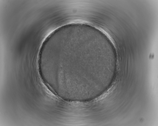 X0000094820783200711301629