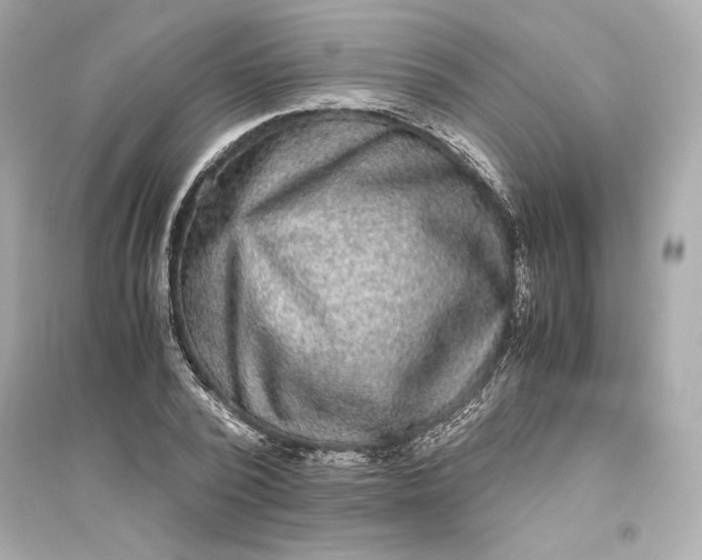 X0000094820784200711301629