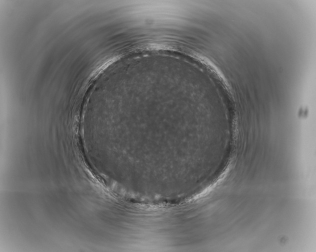 X0000094820785200711301629