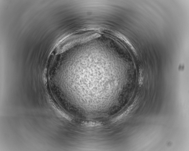 X0000094820786200711301629