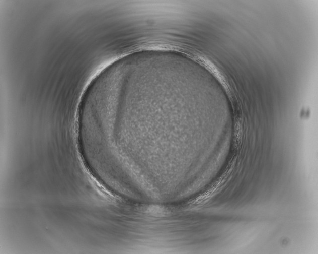 X0000094820787200711301629