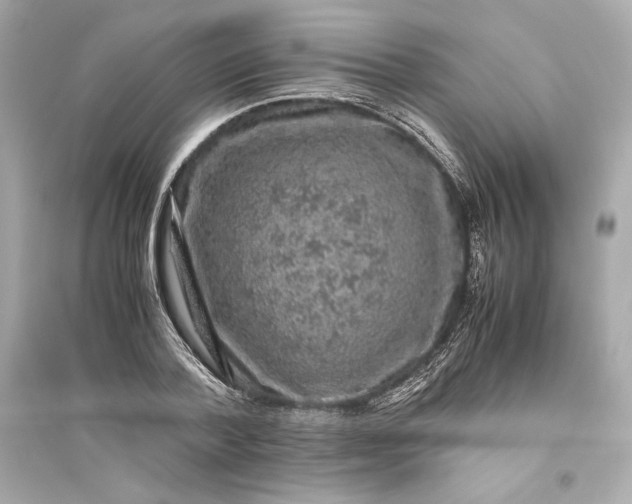 X0000094820788200711301628