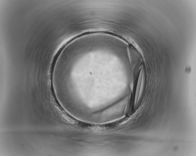 X0000094820789200711301628