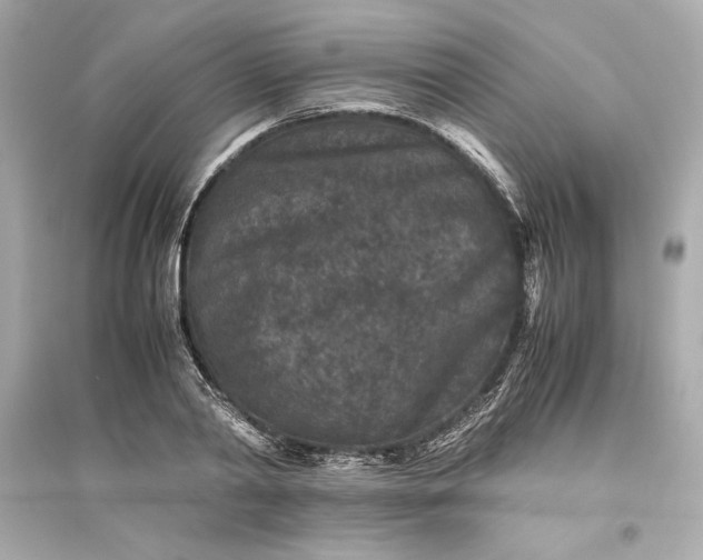 X0000094820790200711301628