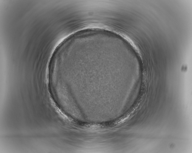 X0000094820791200711301628