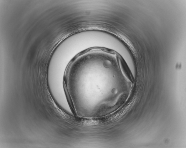 X0000094820793200711301628