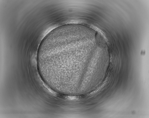 X0000094820794200711301628