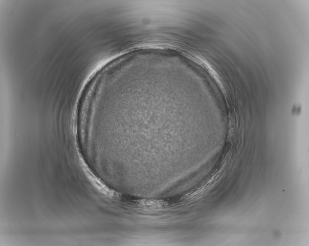 X0000094820795200711301628