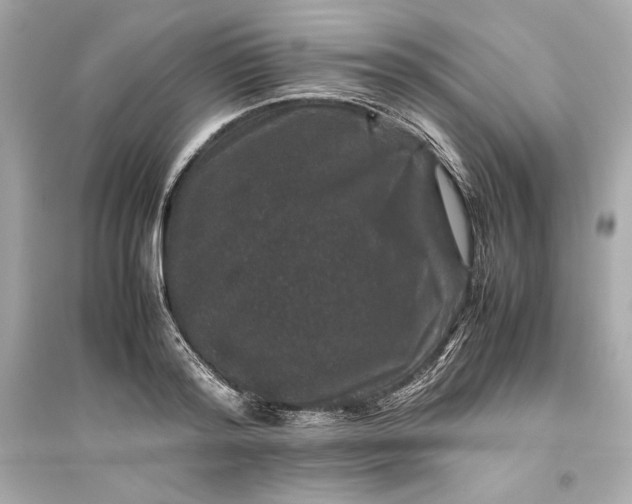 X0000094820796200711301628