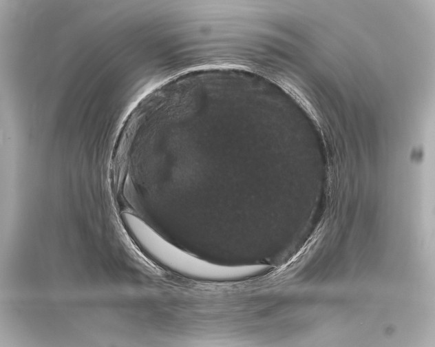 X0000094820797200711301628