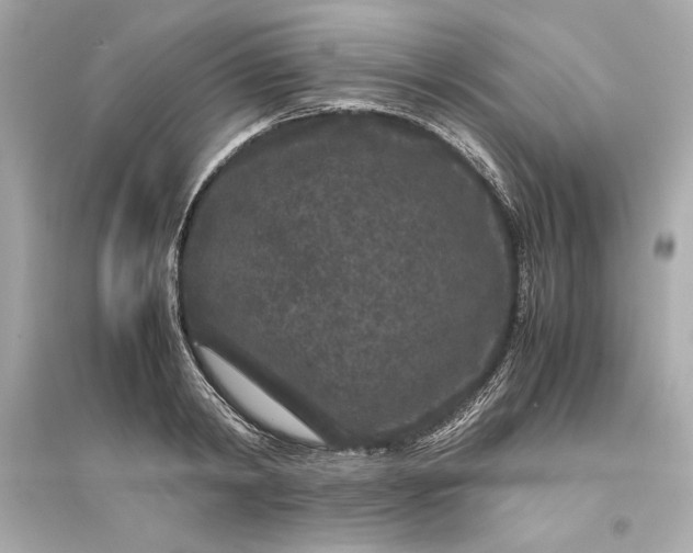 X0000094820798200711301628