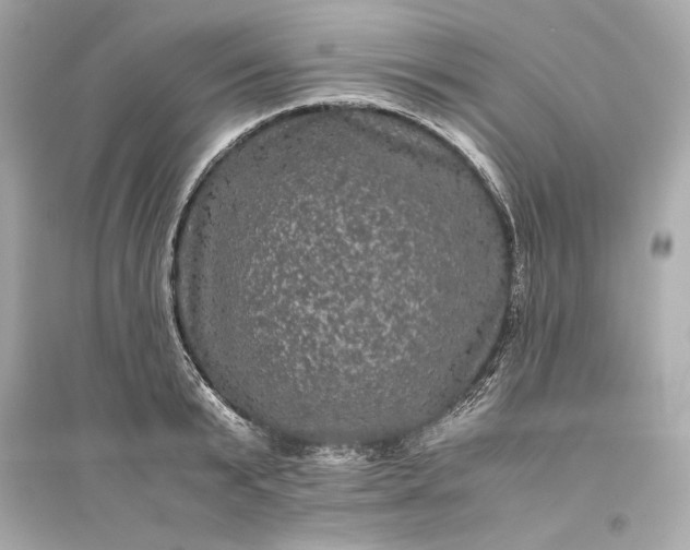 X0000094820799200711301628