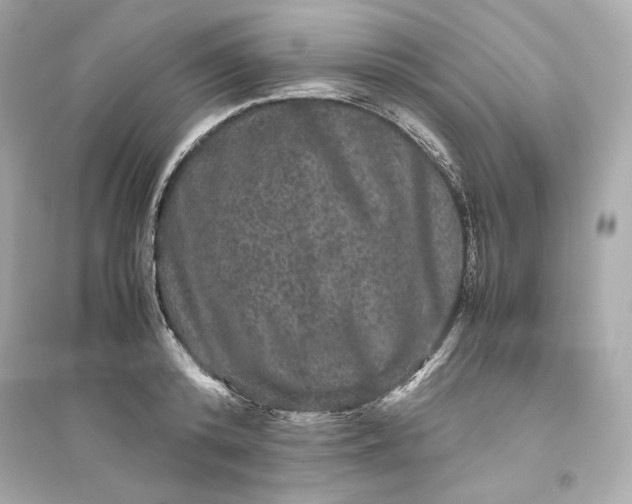 X0000094820800200711301628