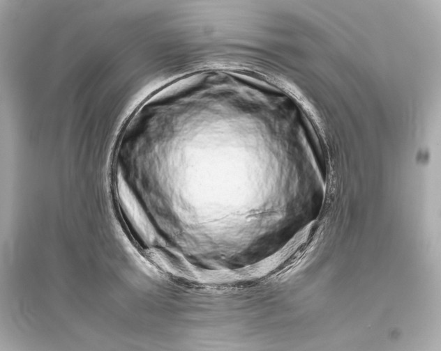 X0000094820803200711301628