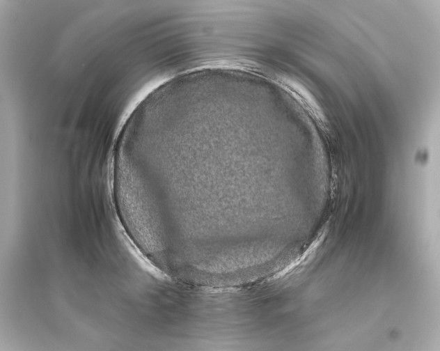 X0000094820804200711301628