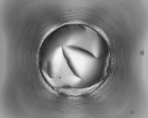 X0000094820805200711301628