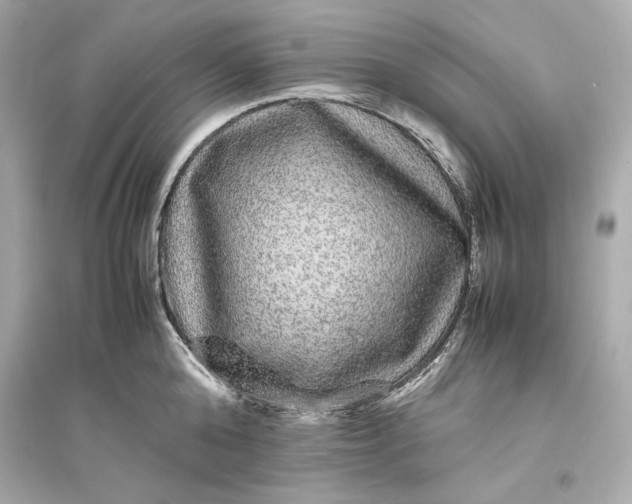 X0000094820808200711301628