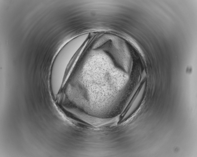 X0000094820810200711301628