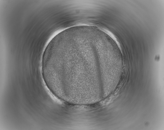 X0000094820811200711301628