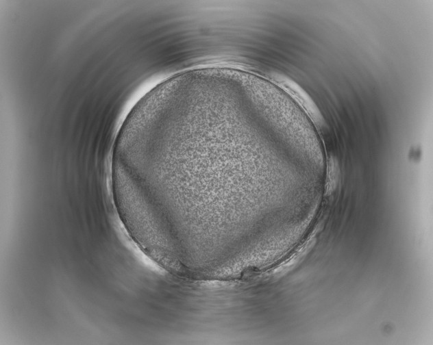 X0000094820812200711301628