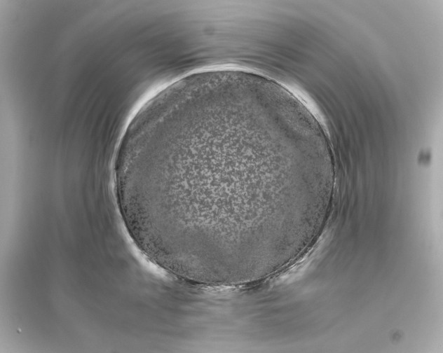 X0000094820813200711301628