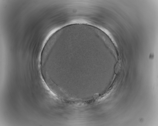 X0000094820815200711301628