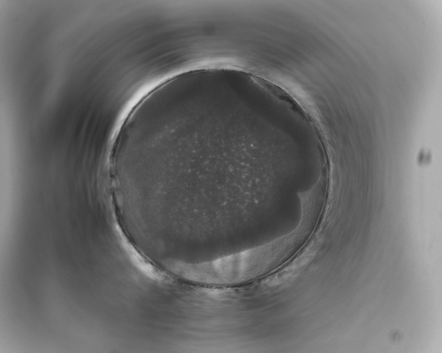 X0000094820816200711301628