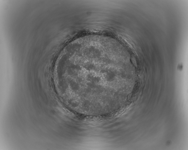 X0000094820817200711301627