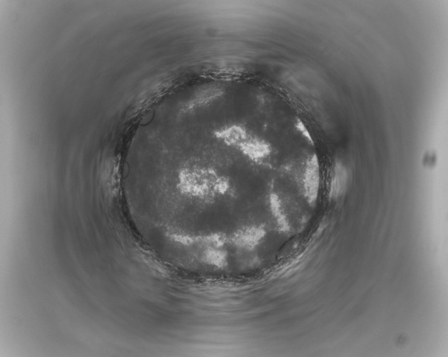 X0000094820818200711301627