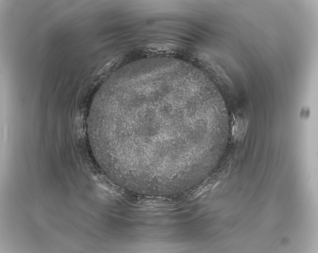 X0000094820819200711301627