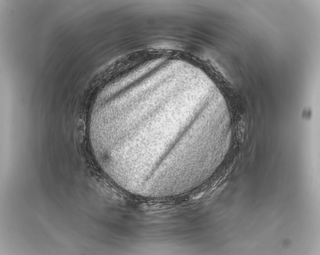 X0000094820821200711301627