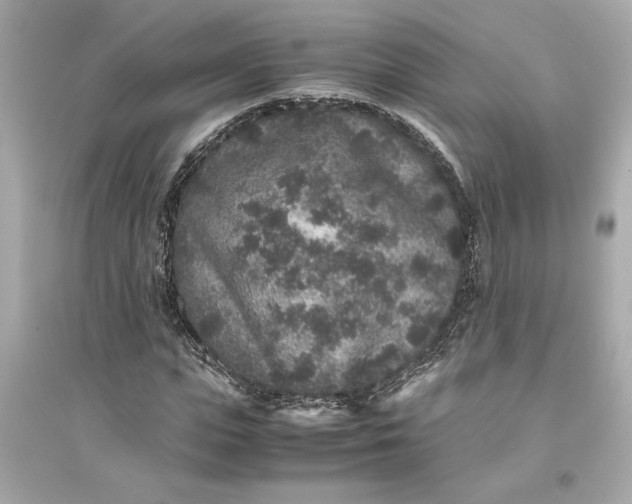 X0000094820823200711301628