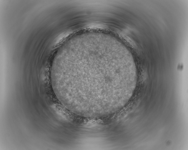 X0000094820824200711301628